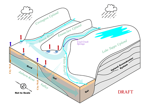 Conceptual model for Auburn area